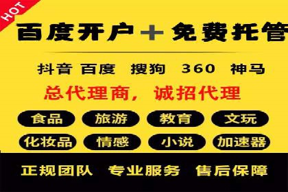 案例研究：SEM开户助力电商快速崛起